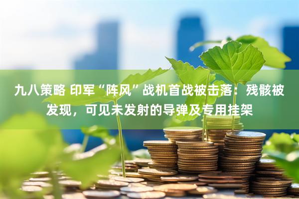 九八策略 印军“阵风”战机首战被击落：残骸被发现，可见未发射的导弹及专用挂架