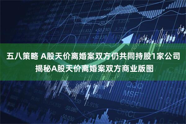 五八策略 A股天价离婚案双方仍共同持股1家公司 揭秘A股天价离婚案双方商业版图