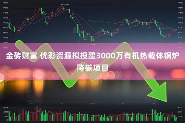 金砖财富 优彩资源拟投建3000万有机热载体锅炉降碳项目