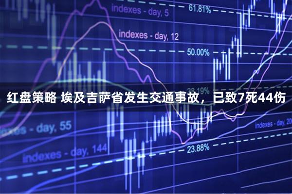 红盘策略 埃及吉萨省发生交通事故，已致7死44伤