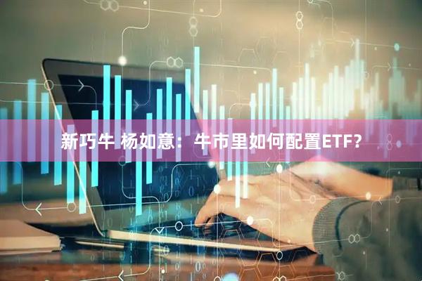 新巧牛 杨如意：牛市里如何配置ETF？