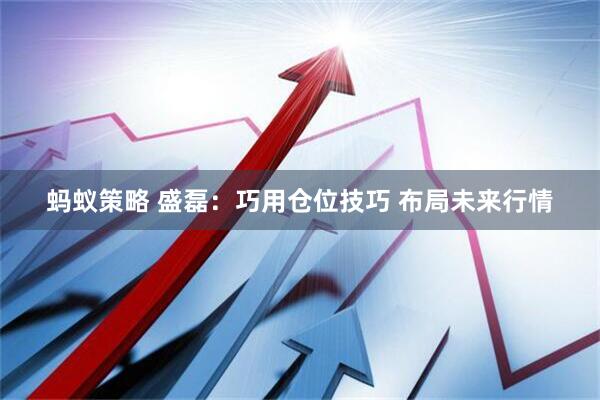 蚂蚁策略 盛磊:巧用仓位技巧 布局未来行情