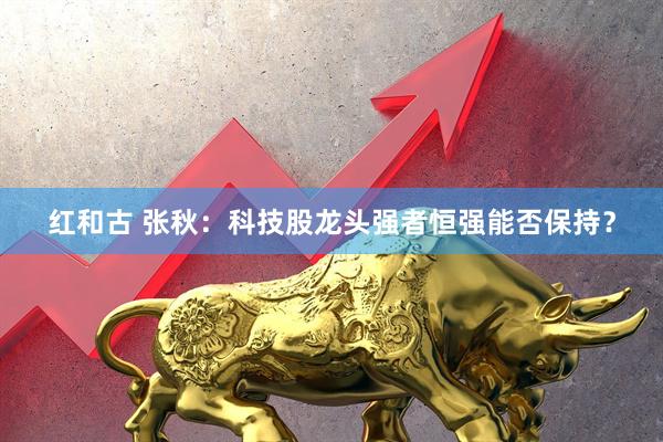 红和古 张秋:科技股龙头强者恒强能否保持?