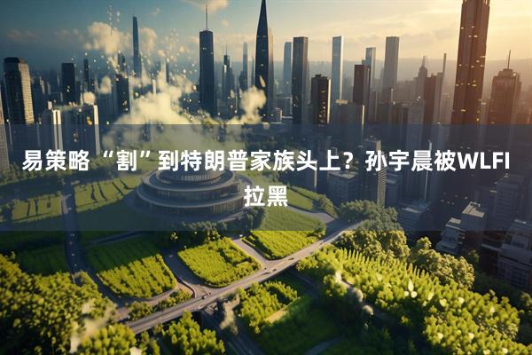 易策略 “割”到特朗普家族头上？孙宇晨被WLFI拉黑