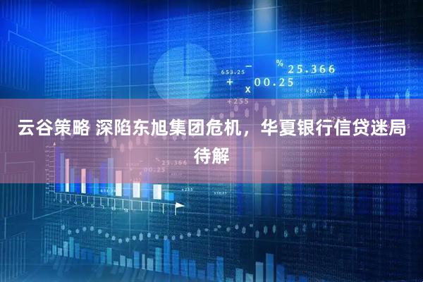 云谷策略 深陷东旭集团危机，华夏银行信贷迷局待解
