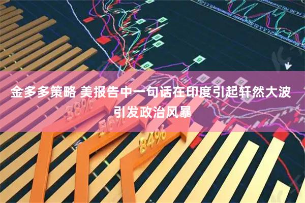 金多多策略 美报告中一句话在印度引起轩然大波 引发政治风暴