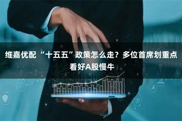 维嘉优配 “十五五”政策怎么走？多位首席划重点 看好A股慢牛
