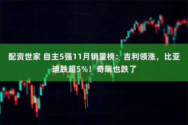 配资世家 自主5强11月销量榜：吉利领涨，比亚迪跌超5%！奇瑞也跌了